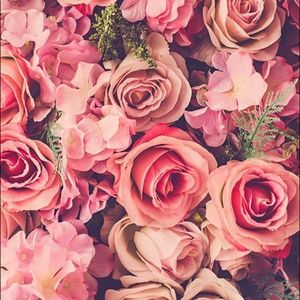 Meet your Posher, Sue